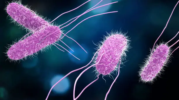 Pathogen Detection
