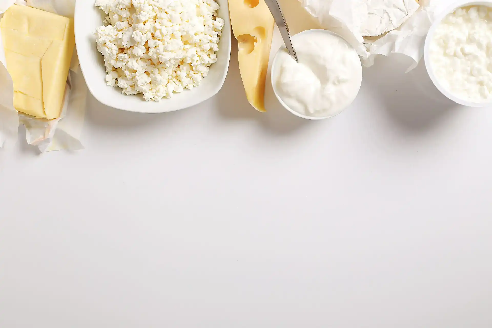 Dairy processing and quality testing