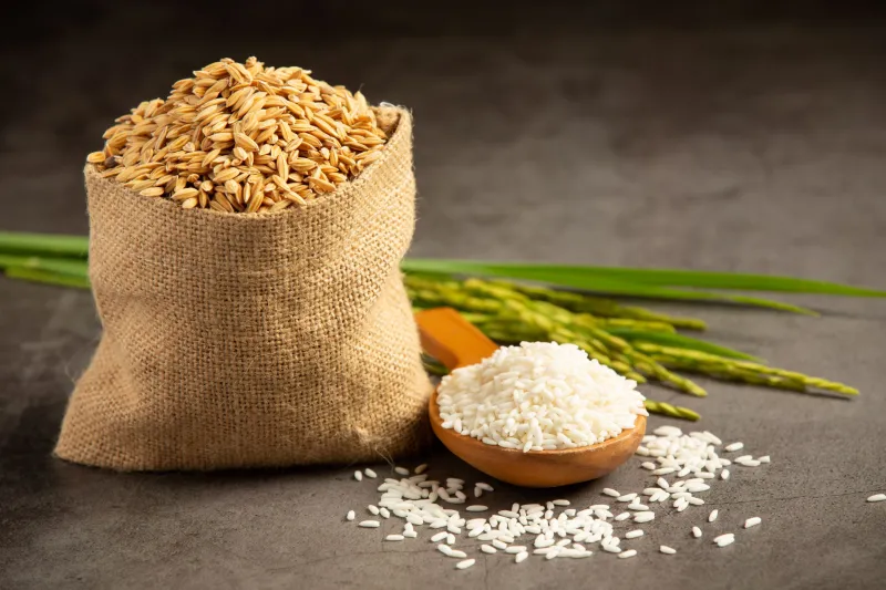 Mycotoxin