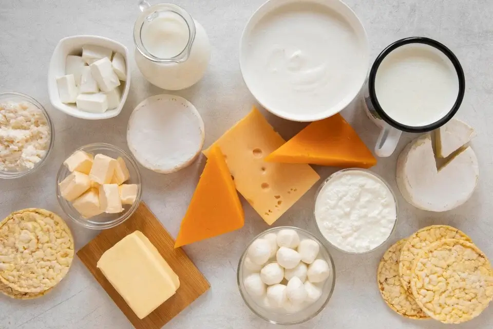 dairy starter culture