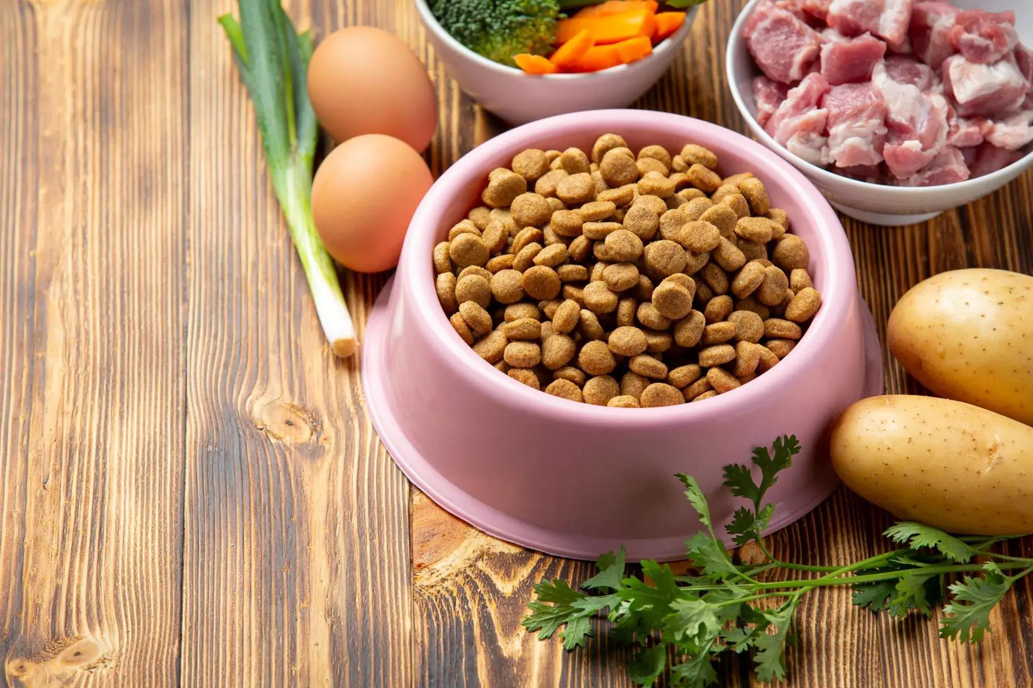 Pet Food in a bowl with some Eggs and Potatoes