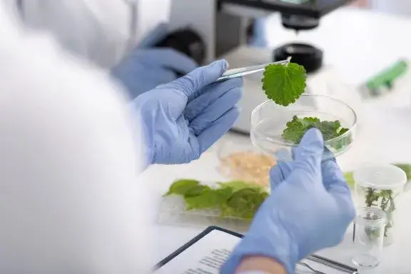 Food Testing Laboratory testing
